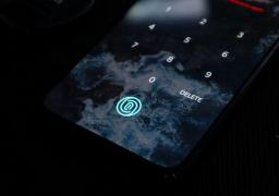 Un mesaj pe Whatsapp susține că hackerii pot copia amprentele din selfie-uri