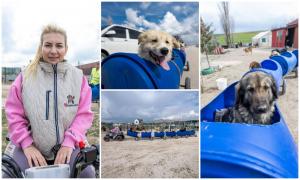 O turcoaică plimbă câinii cu dizabilități cu ajutorul unui trenuleț construit din butoie de plastic