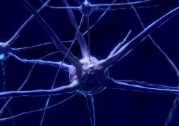 S-a descoperit cel mai timpuriu semn de până acum pentru maladia Alzheimer