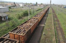 O persoană a fost accidentată mortal de un tren de marfă între staţiile Prunişor şi Gârniţa. Circulaţia a două trenuri, oprită temporar