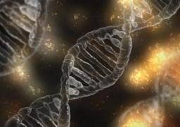 S-a găsit o legătură genetică între boala inflamatorie intestinală și Parkinson