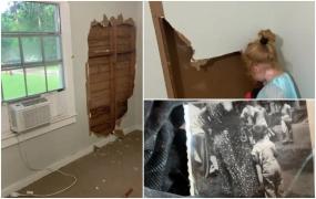 O femeie a făcut o descoperire ciudată în spatele peretelui din dormitorul fiicei sale. 