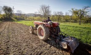 Când vor primi fermierii subvenţia de 100 de euro. Anunțul făcut de ministerul Agriculturii