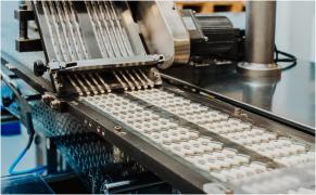 Investiție de 3 milioane de euro în țara noastră într-o fabrică inedită