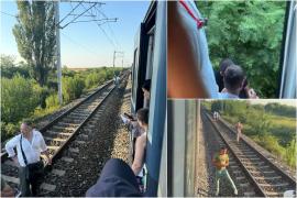 "Se țipă, nu avem aer". Sute de călători, majoritatea copii, blocaţi în câmp după ce un tren s-a defectat în Dâmboviţa. Au fost chemate ambulanţe