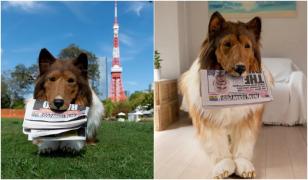 Japonezul care a cheltuit 14.000$ să devină câine își regretă decizia. Acum vrea să imite alt animal