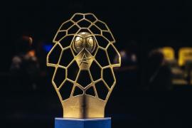 România va avea patru echipe în EHF Liga Campionilor. Dinamo, Rapid şi Bistriţa au primit wild carduri