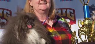 Cel mai urât câine din lume i-a adus stăpânei 5.000 de dolari. "Sălbăticiunea" a concurat de 5 ori pentru o obţine marele premiu