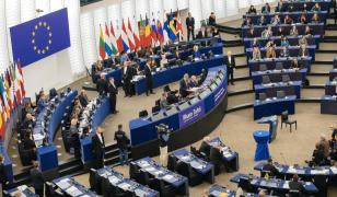 Ce se voteaza la alegerile europarlamentare 2024