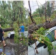 O furtună de doar câteva minute a făcut ravagii în Piteşti. Copaci şi stâlpi, puşi la pământ de vânt