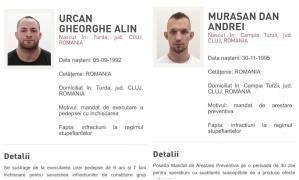 Doi interlopi români, lideri de grupări infracţionale, prinşi în Spania. Erau urmăriţi internaţional pentru trafic de droguri şi spălare de bani