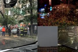 Prăpăd în Capitală, după o furtună de cod portocaliu. Zeci de copaci au căzut în mai multe cartiere