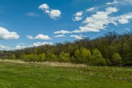 Un student care a încercat să se spânzure într-o pădure din Sibiu, salvat la timp de poliţişti. Avea la el două bilete de adio