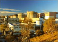 Salarii de 9.300 de lei, oferite de o companie străină în România. Ce posturi sunt disponibile