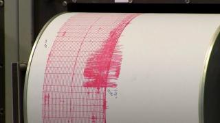 Două cutremure s-au produs în Vrancea la o diferenţă de câteva ore. Seismele au avut 2,6 şi 3 pe scara Richter
