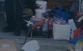 O femeie din Târgovişte s-a trezit cu un şarpe în garajul din curtea casei. Reptila, capturată de jandarmi