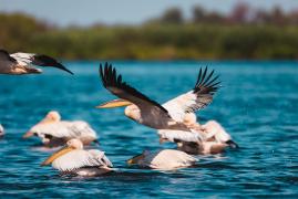 Destinaţia idilică din România luată cu asalt de turişti. Au făcut rezervări până în noiembrie: "E un an bun"