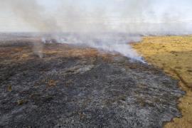 Cel mai neașteptat start al sezonului incendiilor din ultimii 20 de ani, în Amazon. Focul a înghiţit o suprafaţă imensă
