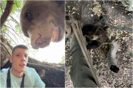 Un influencer s-a filmat când intră în bârlogul ursului şi dă nas în nas cu animalul: 