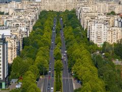 Harta care le arată bucureştenilor cât de verde este zona în care trăiesc