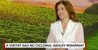 Furtuna Ashley, între a fost și n-a fost