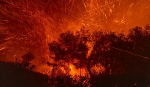Bilanţul incendiilor din California a ajuns la şapte morţi. Flăcările se extind: E ca şi cum o bombă atomică ar fi fost aruncată