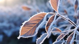 ANM a actualizat prognoza meteo pentru următoarele 4 săptămâni. Vremea în România până pe 10 februarie