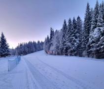 A suferit multiple traumatisme, fiind intubată