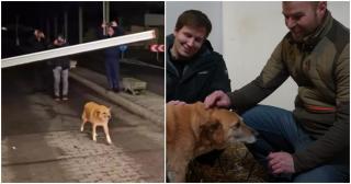 Copăcel, căţelul care a trecut primul vama după intrarea în Schengen, şi-a găsit omul. A fost adoptat de un fost poliţist