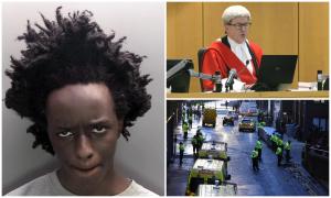 Axel Rudakubana, adolescentul care a înjunghiat mortal 3 fetiţe, şi-a aflat sentinţa