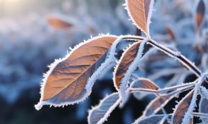 ANM a actualizat prognoza meteo pentru următoarele patru săptămâni. Vremea în România până pe 24 februarie