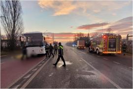 Femele lovită mortal de maşină în Leţcani