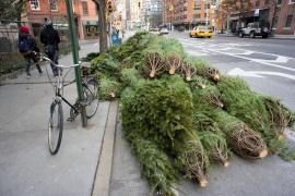 Ce să faci cu bradul după sărbători. Amenzi de sute de lei pentru cei care îi aruncă pe stradă sau în faţa blocului