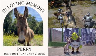 Animalul trăia în Bol Park, în Palo Alto, California