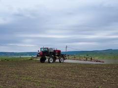 POLITICO: România sfidează interdicția Uniunii Europene privind pesticidele și testează hotărârea Bruxelles-ului