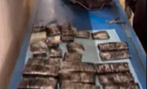 O femeie din Ucraina a încercat să treacă graniţa în România cu 1 milion de dolari. Unde ascunsese banii