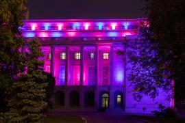 Guvernul, iluminat în roz şi bleu