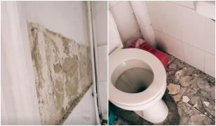 Palatului Copiilor din Arad, pericol public. O placă de faianţă a picat în capul unei fetiţe de 6 ani