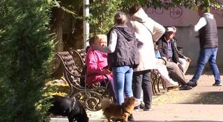 Primăria Craiova vrea să limiteze numărul de animale de companie din apartamente. Amenzi până la 2.500 de lei