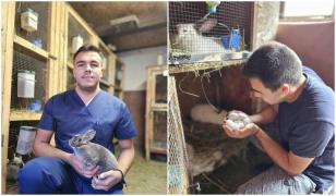 Campanie gratuită de vaccinare a iepurilor, lansată la Iași. "În ultima perioadă au fost multe pierderi"