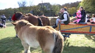 Festivalul Toamnei la Cluj-Napoca. Mii de oameni s-au întors pentru o zi în satul românesc