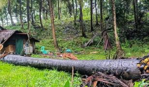 Furtună violentă în Noua Zeelandă. O persoană a murit, mai multe au fost rănite