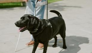 Karolin a fost aproape de moarte mai des decât majoritatea oamenilor. Câinele ei a salvat-o de fiecare dată