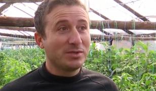 Un fermier din Dolj a dat lovitura cu o plantă aparent banală. Doru vinde cu 50 lei kilogramul