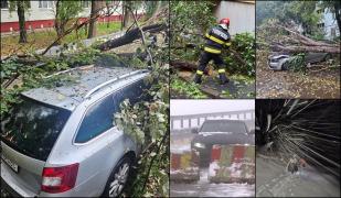 Fenomene extreme în România. Zeci de maşini avariate, cod roșu și portocaliu de viscol în jumătate de țară