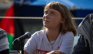 Proteste în mai multe ţări europene după ce armata israeliană a oprit ambarcațiunile cu ajutoare pentru Gaza