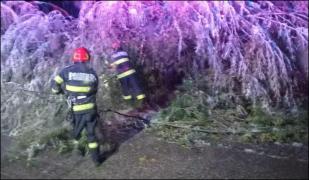 Noapte albă pentru pompierii din Hunedoara. Zeci de copaci doborâţi din cauza viscolului, 4 turişti rătăciţi