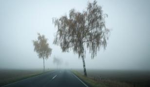 Cod galben de ceaţă în zece judeţe din România. Care sunt zonele vizate