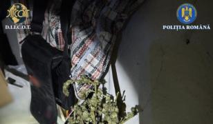 Percheziții în Brașov și Vaslui pentru trafic de droguri. Suspecţii, duşi la audieri