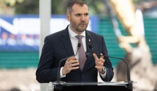 Amenzi de aproape 250.000 de lei pentru tăieri ilegale de copaci pe Bd. Nicolae Grigorescu, în București